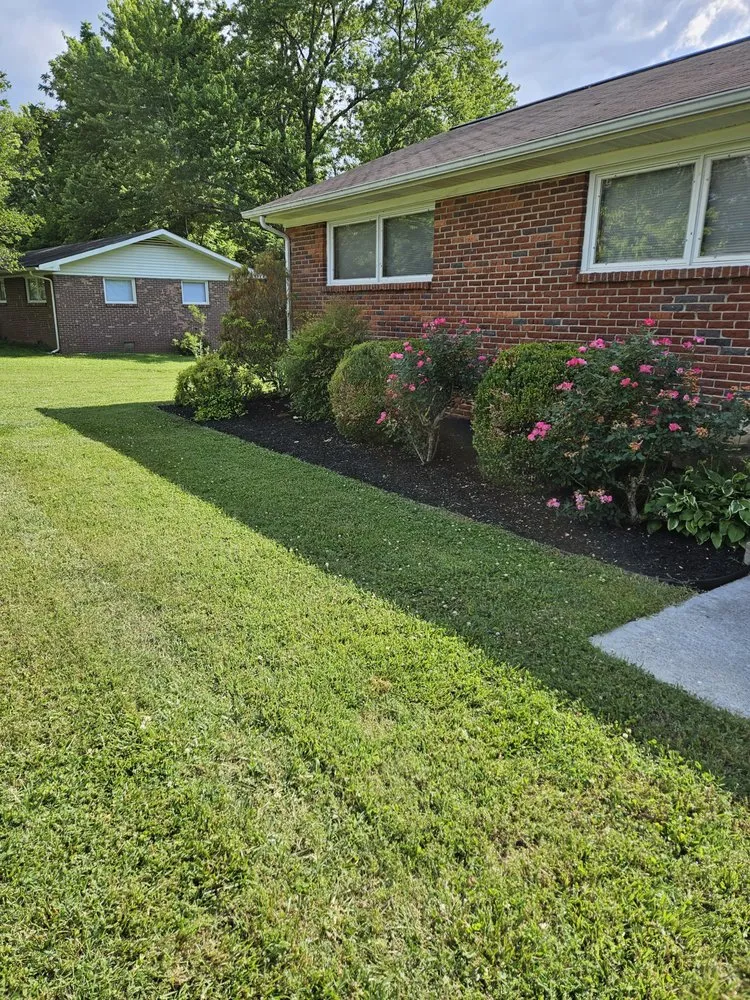 Top-rated landscape installation in Murfreesboro, TN by Local Lawncare
