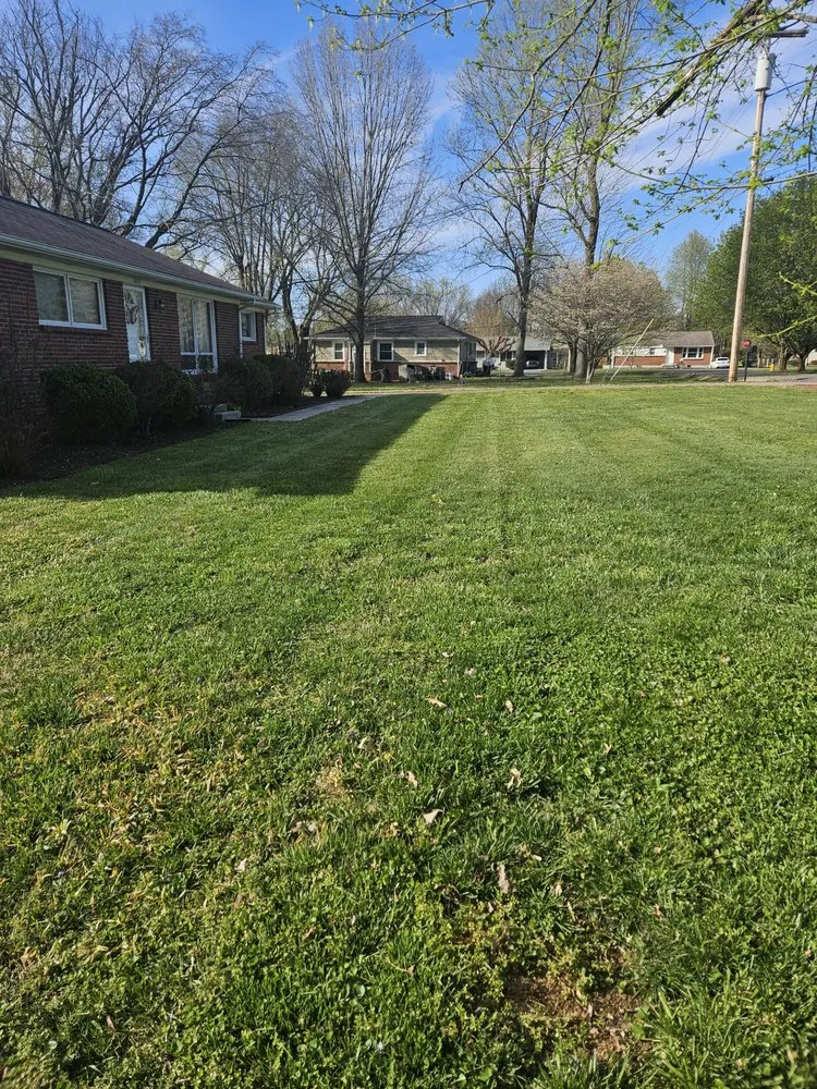 Professional lawn care service experts serving Murfreesboro, TN - Local Lawncare