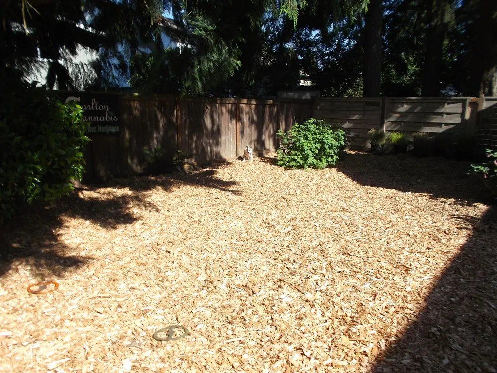 Professional residential landscaping near you across Tacoma, WA - Local Lawns Plus