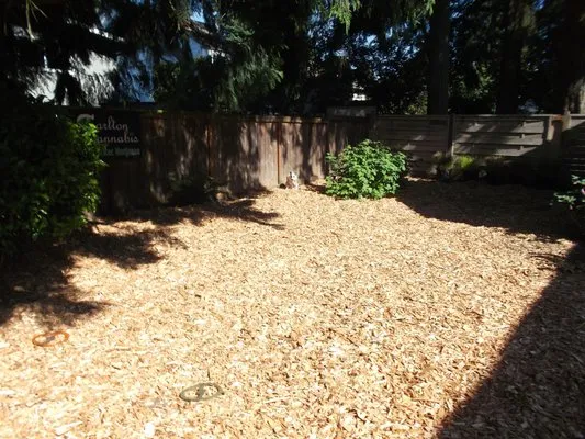 Local Lawns Plus Logo