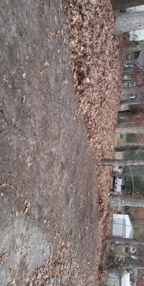 Top-rated lawn mowing service for year-round maintenance across Easley, SC - Local Lawson Landscape & Handyman Service