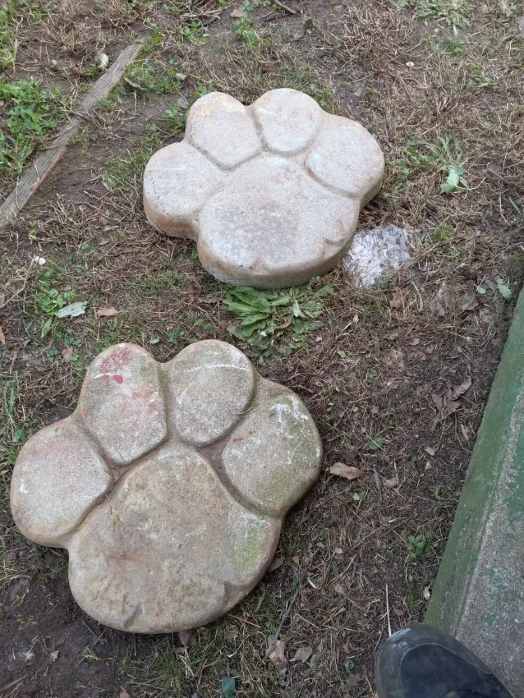 Professional lawn care service experts serving Easley, SC - Local Lawson Landscape & Handyman Service