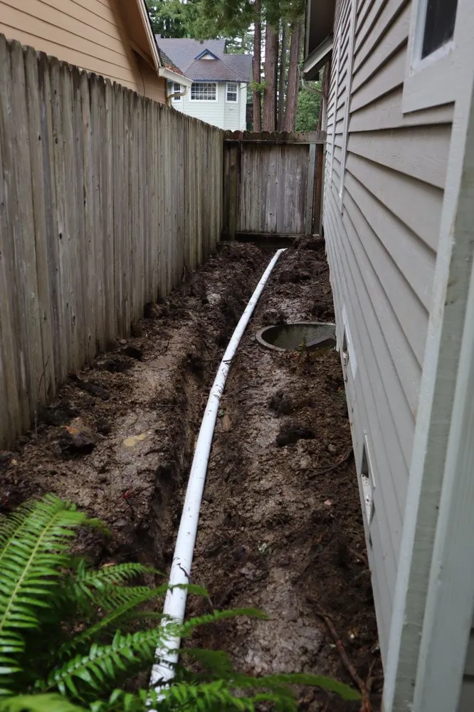 Top-rated landscape design experts serving Eureka, CA - Local Mow Man