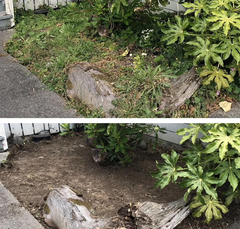 Trusted yard cleanup service for beautiful yards in Eureka, CA by Local Mow Man