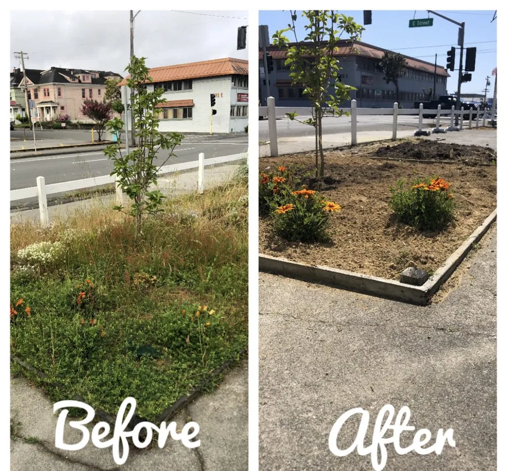 Trusted residential landscaping in Eureka, CA by Local Mow Man