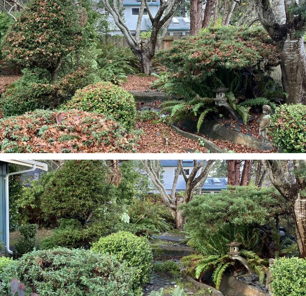 Expert lawn care service experts serving Eureka, CA - Local Mow Man