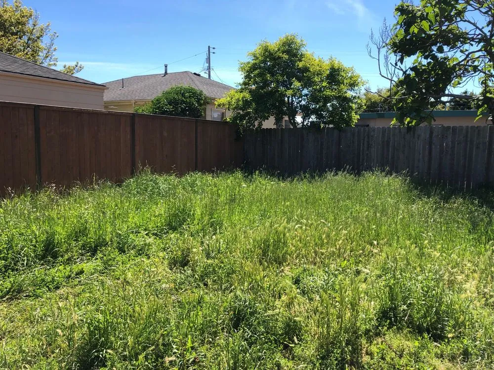 Top-rated landscaping services in Eureka, CA by Local Mow Man