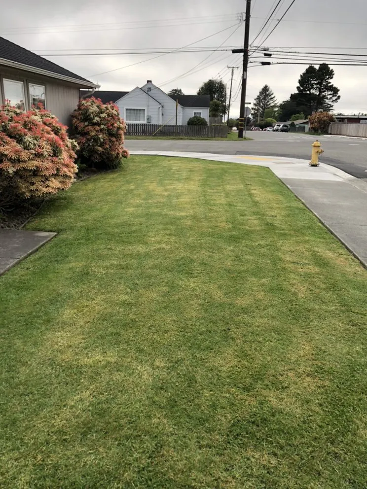 Professional landscape installation in Eureka, CA - Local Mow Man