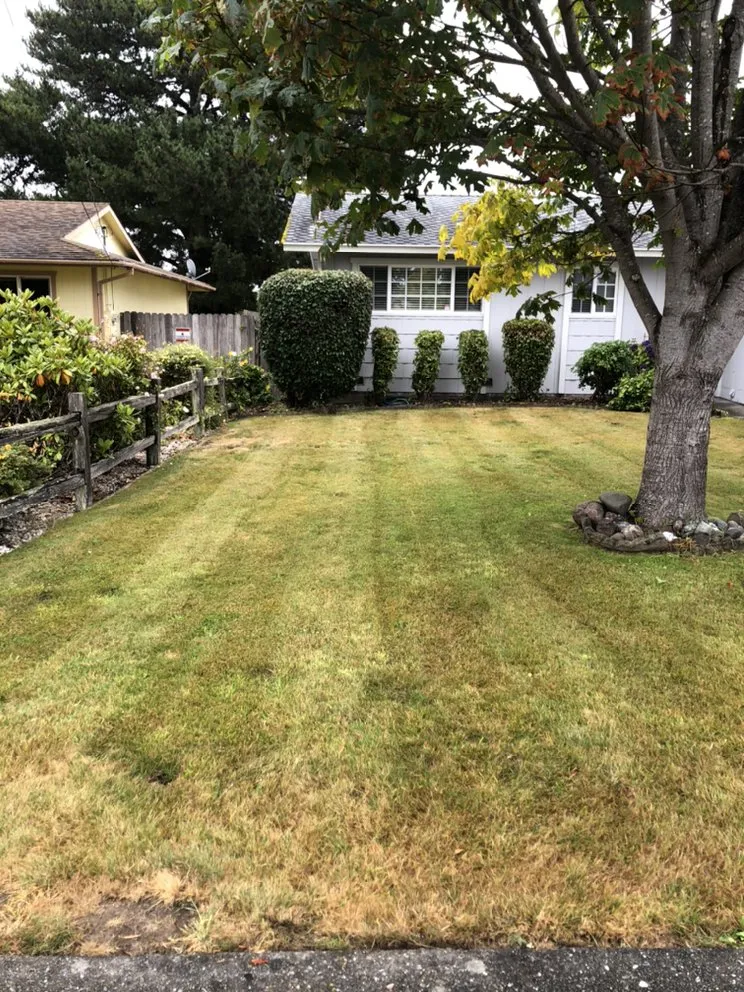 Custom outdoor landscaping for residential properties across Eureka, CA - Local Mow Man
