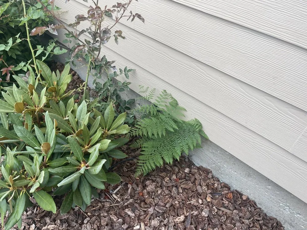 Professional landscaping services in Eureka, CA by Local Mow Man