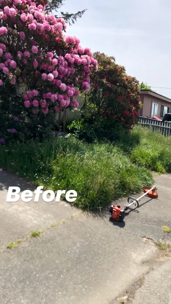 Local yard maintenance in Eureka, CA - Local Mow Man