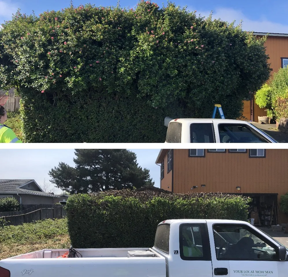 Affordable outdoor landscaping for beautiful yards across Eureka, CA - Local Mow Man