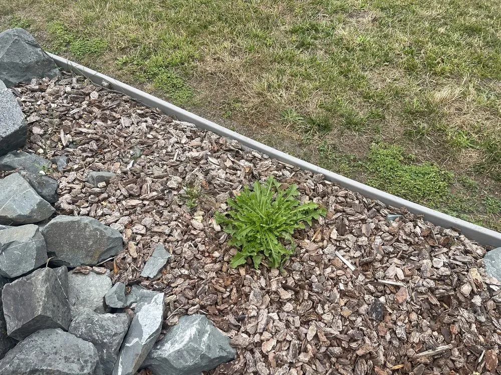 Local landscaping services for homes in Eureka, CA by Local Mow Man