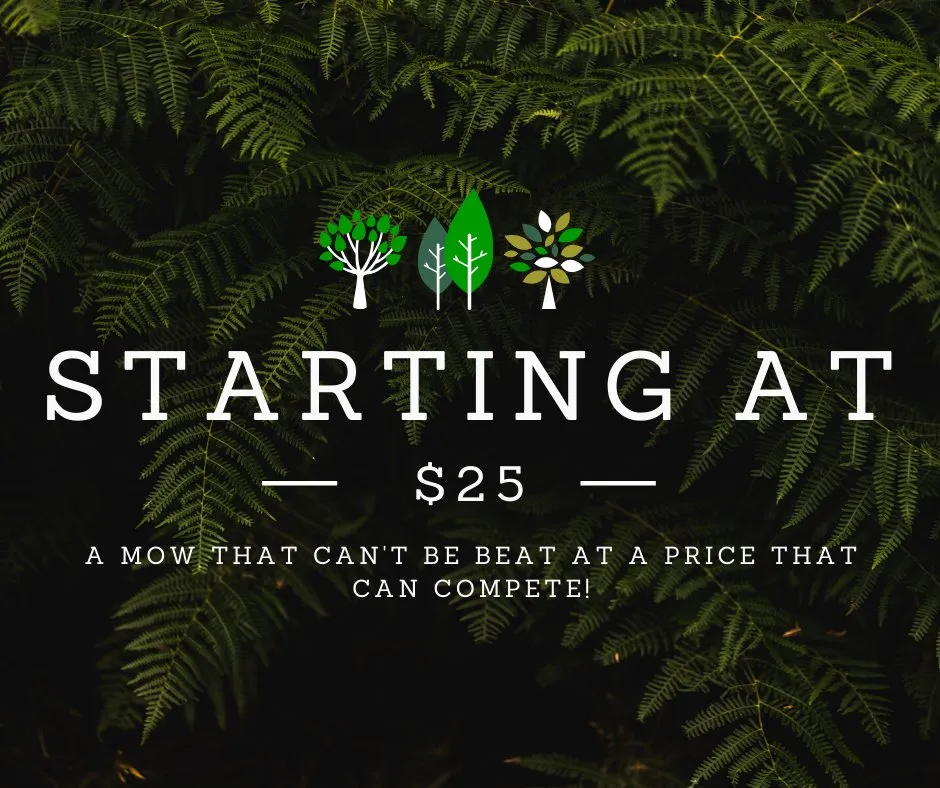 Top-rated lawn care service in Eureka, CA - Local Mow Man