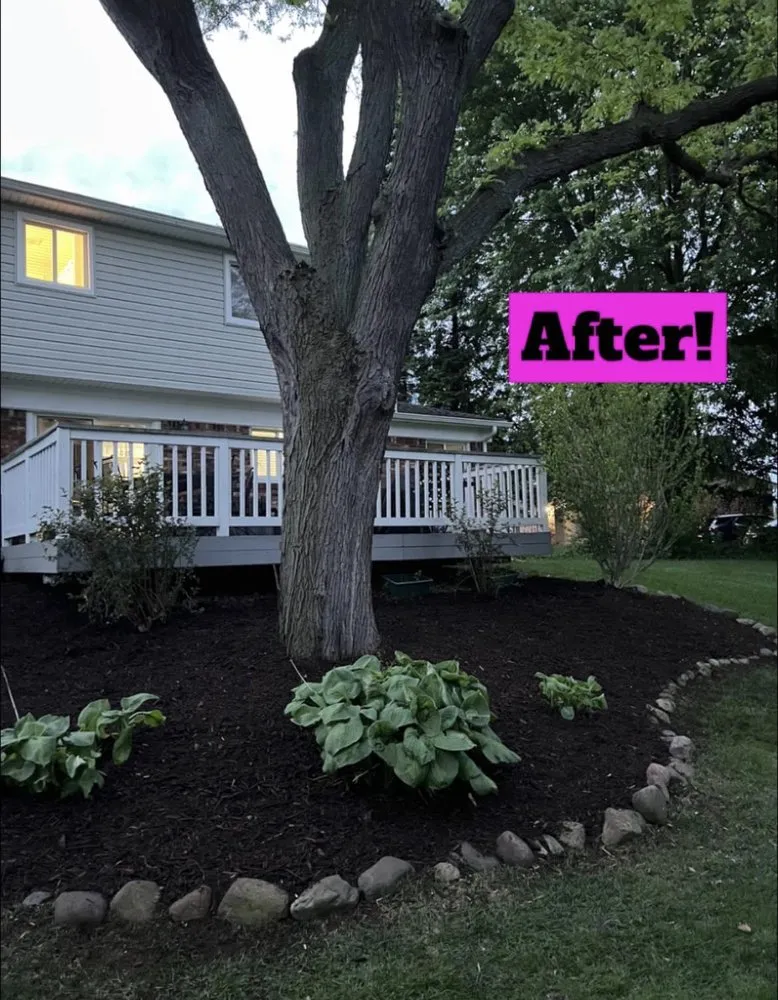 Professional landscaping services for year-round maintenance across Madison Heights, MI - Local Oaks Landscaping Services