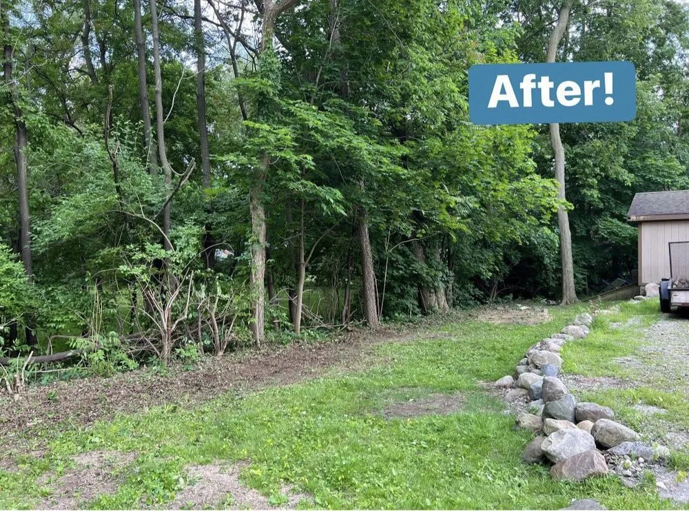 Reliable yard cleanup service in Madison Heights, MI - Local Oaks Landscaping Services