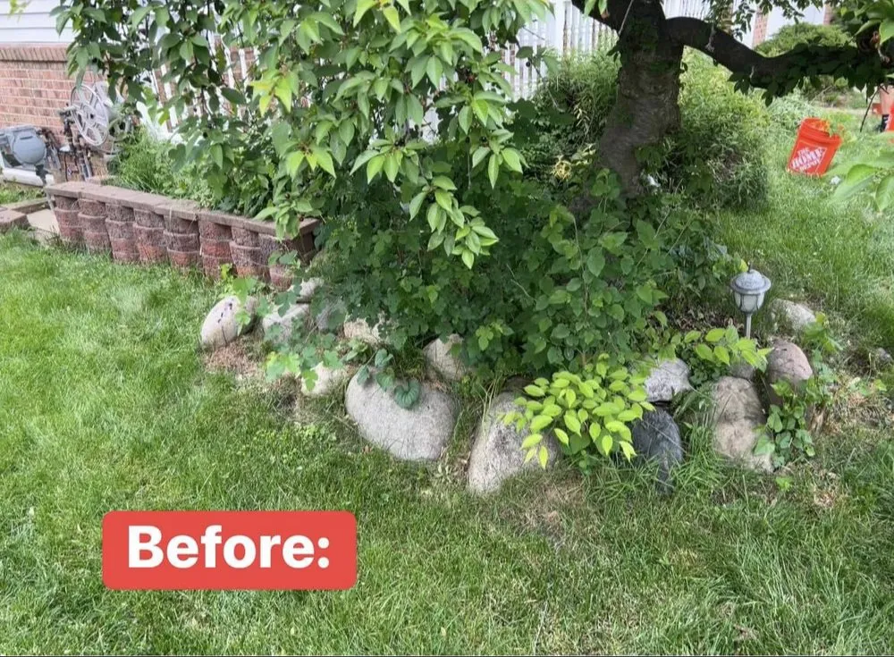 Top-rated lawn care service experts serving Madison Heights, MI - Local Oaks Landscaping Services