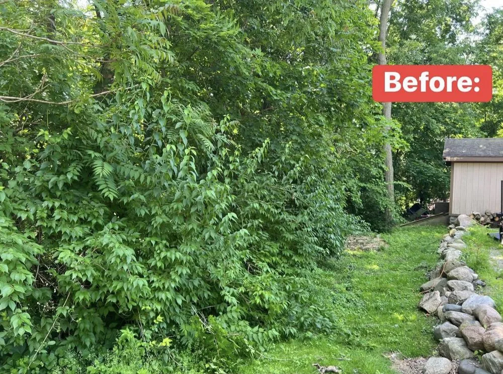 Top-rated landscape installation experts serving Madison Heights, MI - Local Oaks Landscaping Services