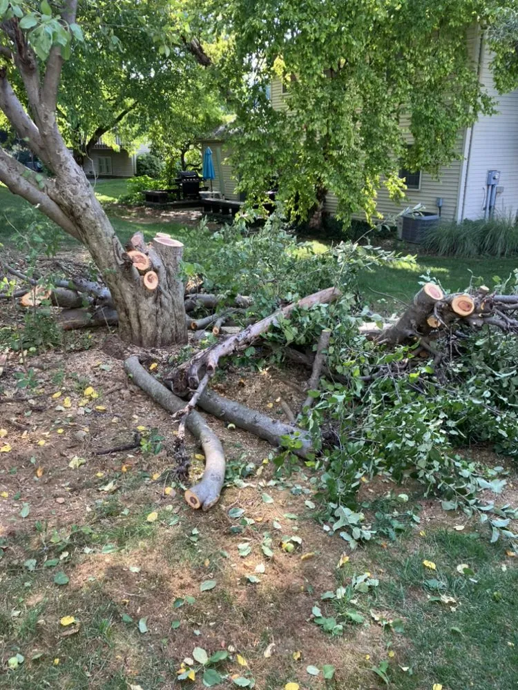 Custom landscaping services for outdoor upgrades in New Holland, PA by Local Property Maintenance