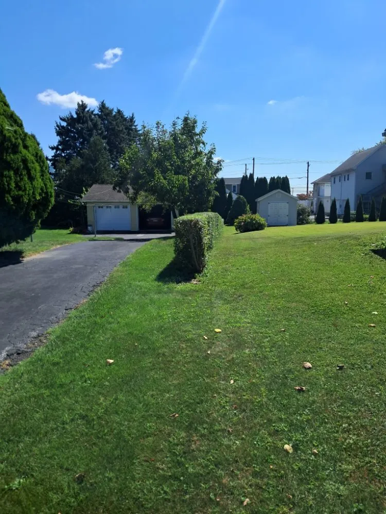 Affordable yard maintenance experts serving New Holland, PA - Local Property Maintenance