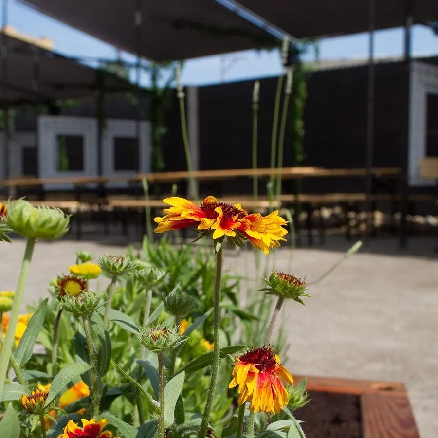 Local outdoor landscaping in Pittsburgh, PA by Local Roots Landscaping