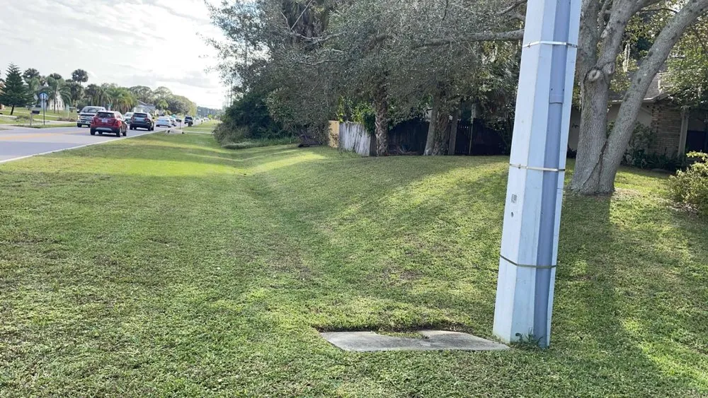 Local landscape installation experts serving Palm Bay, FL - Local Roots Property Maintenance