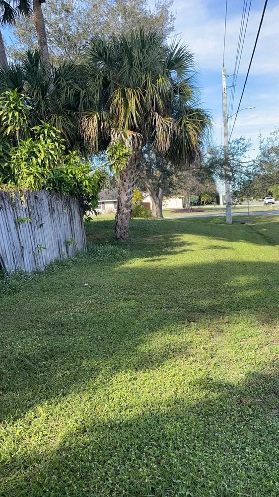 Trusted landscape design experts serving Palm Bay, FL - Local Roots Property Maintenance