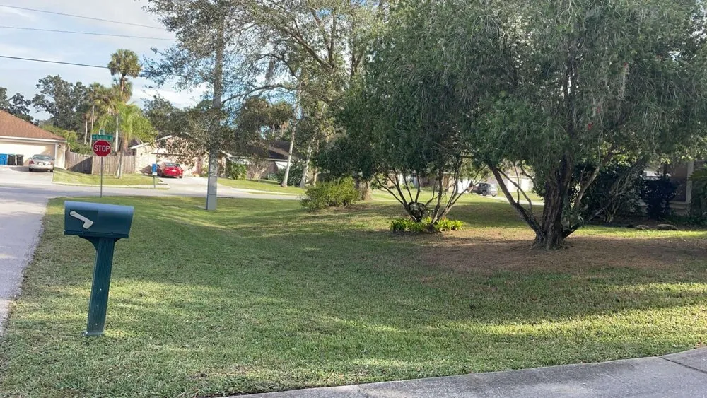 Professional outdoor landscaping in Palm Bay, FL - Local Roots Property Maintenance