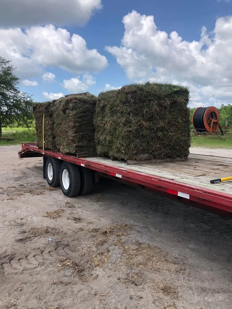 Top-rated yard maintenance for beautiful yards in DeBary, FL by Local Sod & Landscape