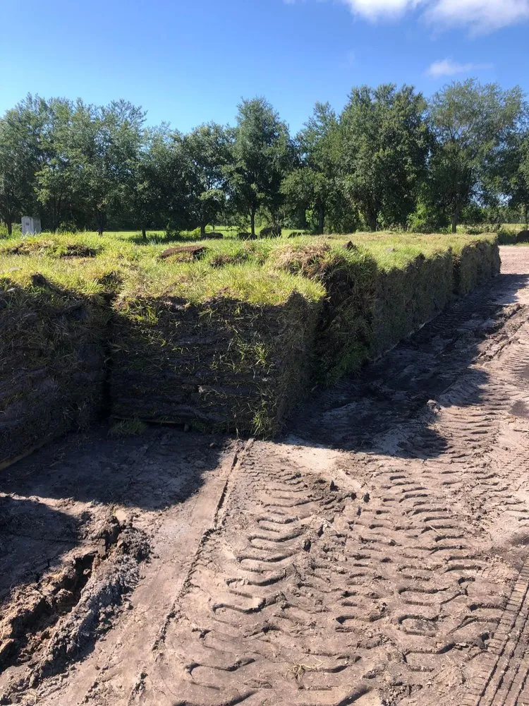 Top-rated landscape installation in DeBary, FL by Local Sod & Landscape