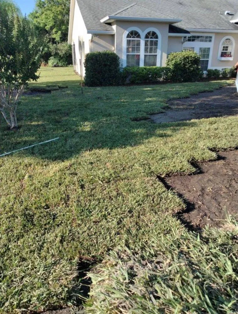 Top-rated outdoor landscaping in DeBary, FL - Local Sod & Landscape