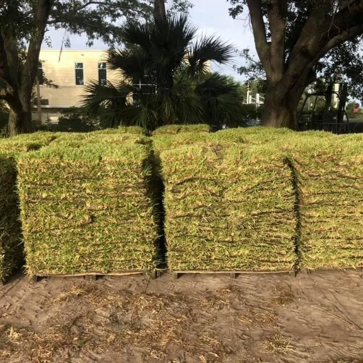 Reliable lawn mowing service for beautiful yards across DeBary, FL - Local Sod & Landscape