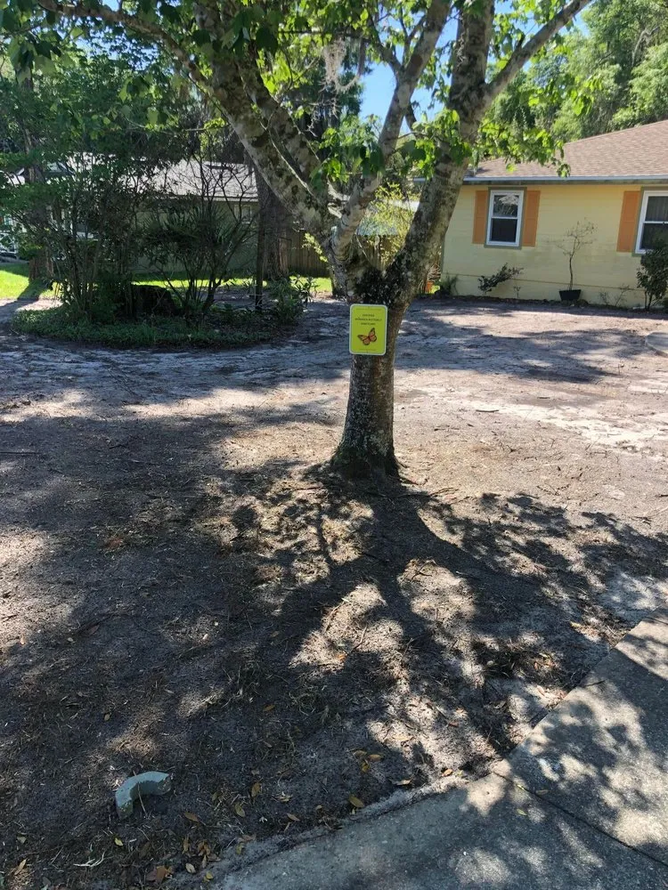 Trusted residential landscaping for year-round maintenance in DeBary, FL by Local Sod & Landscape