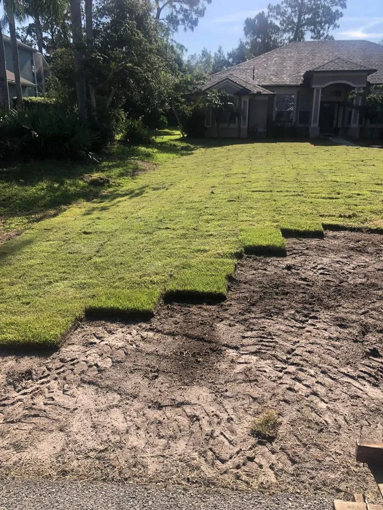Expert lawn care service for year-round maintenance across DeBary, FL - Local Sod & Landscape