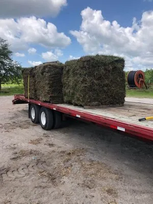 Local Sod & Landscape