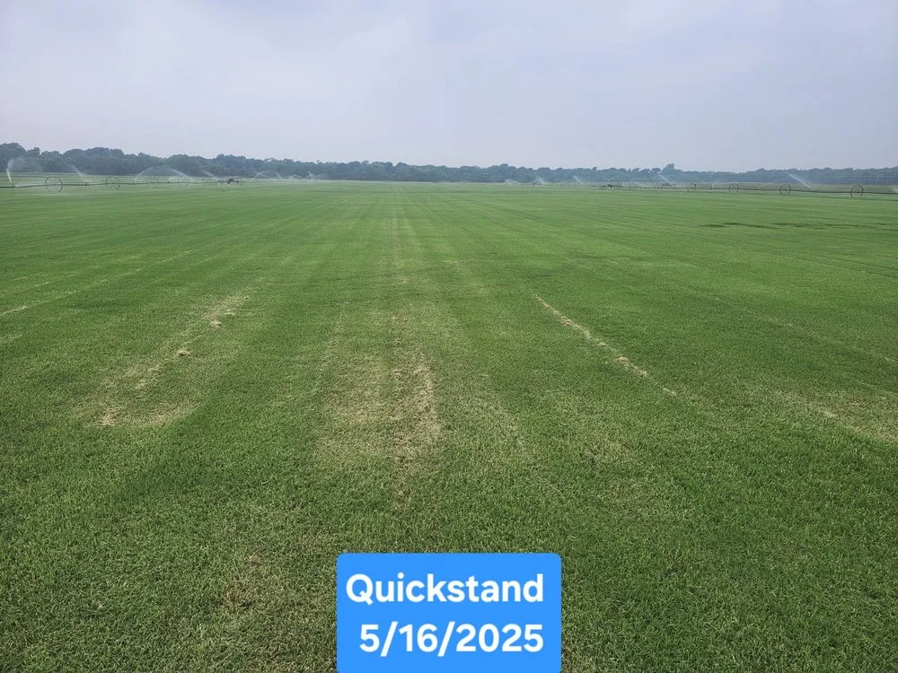 Affordable landscaping services in Ennis, TX - Local Sod Grass