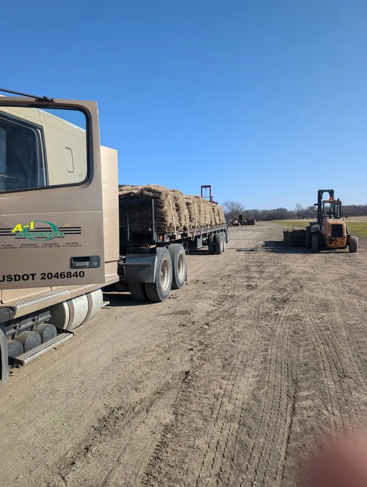 Custom landscaping services in Ennis, TX - Local Sod Grass