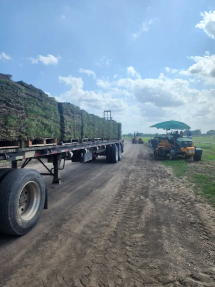 Custom lawn mowing service in Ennis, TX - Local Sod Grass