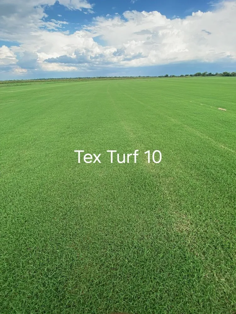 Custom garden landscaping in Ennis, TX - Local Sod Grass