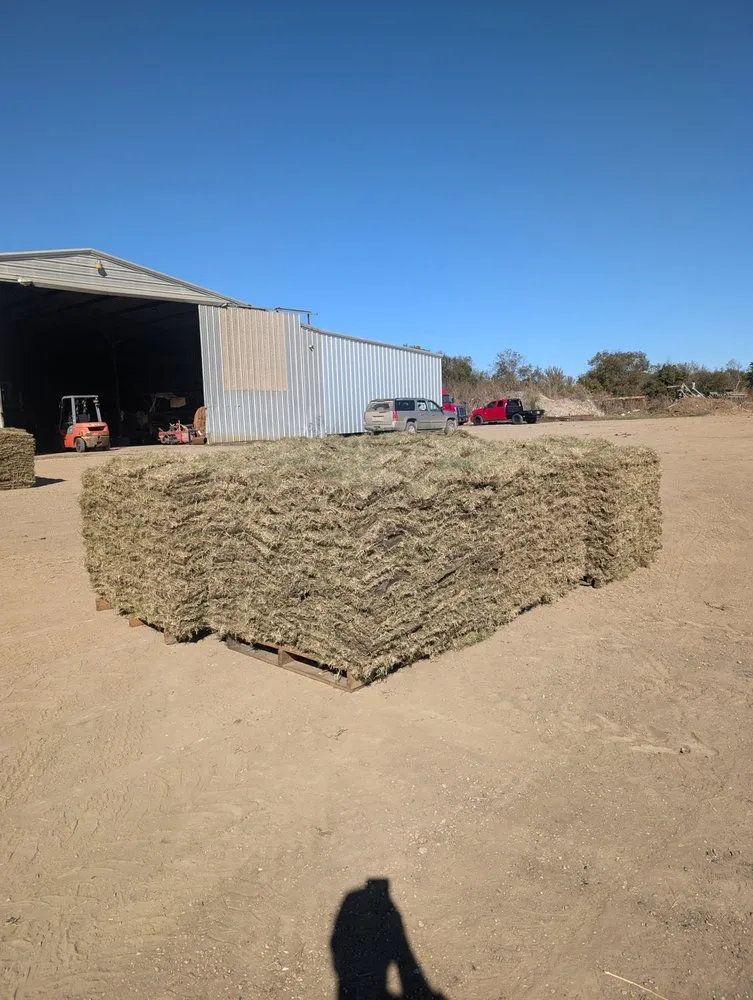 Professional lawn care service for outdoor upgrades in Ennis, TX by Local Sod Grass