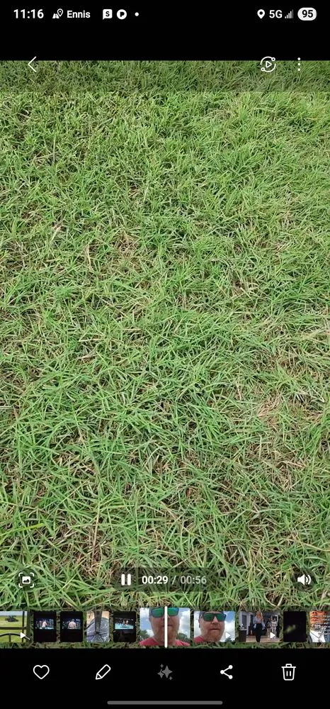 Trusted landscaping services in Ennis, TX - Local Sod Grass