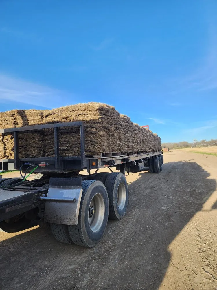 Expert yard cleanup service for outdoor upgrades in Ennis, TX by Local Sod Grass