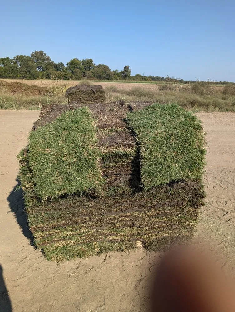 Affordable lawn care service for beautiful yards in Ennis, TX by Local Sod Grass