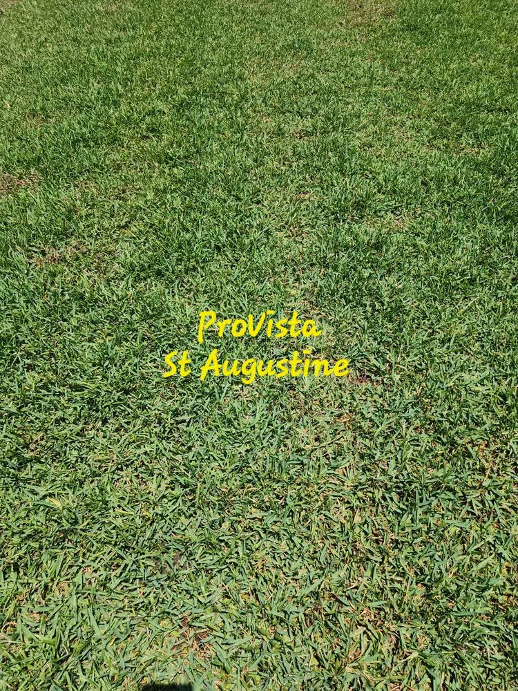 Expert residential landscaping for beautiful yards across Ennis, TX - Local Sod Grass