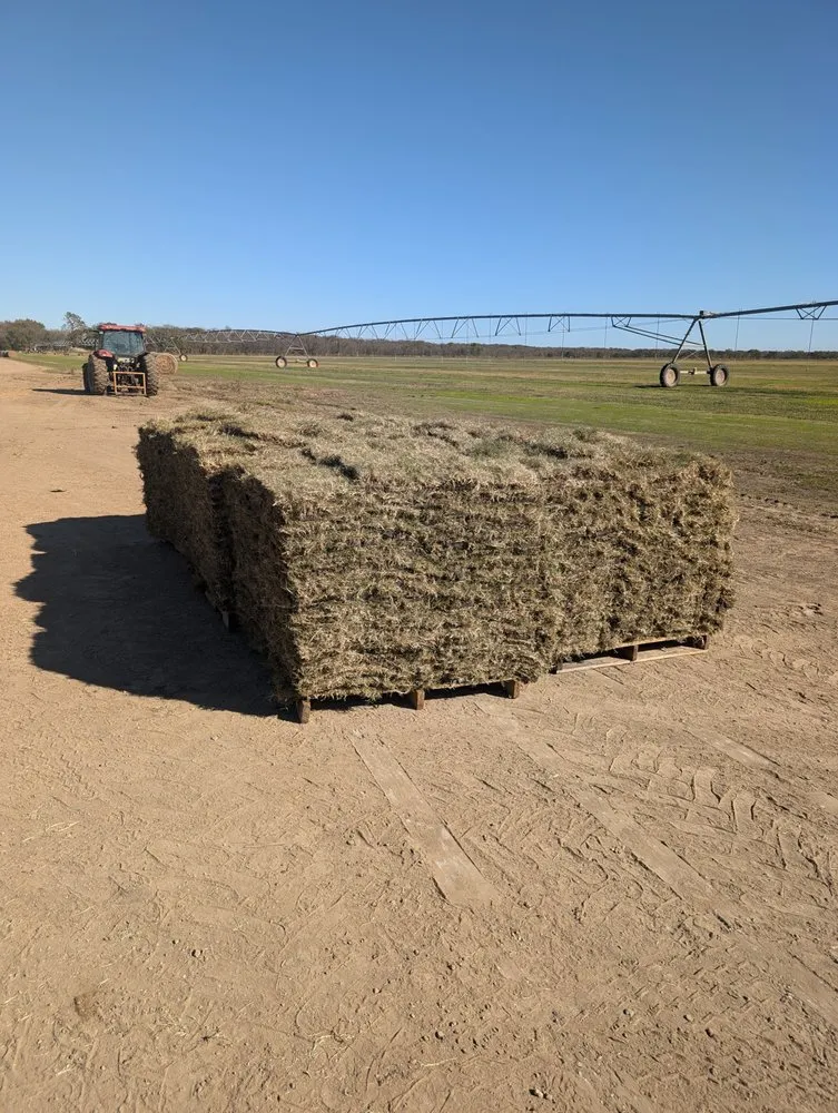 Custom garden landscaping near you across Ennis, TX - Local Sod Grass