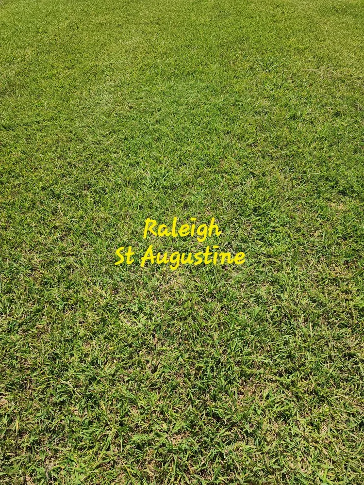 Professional landscaping services in Ennis, TX - Local Sod Grass