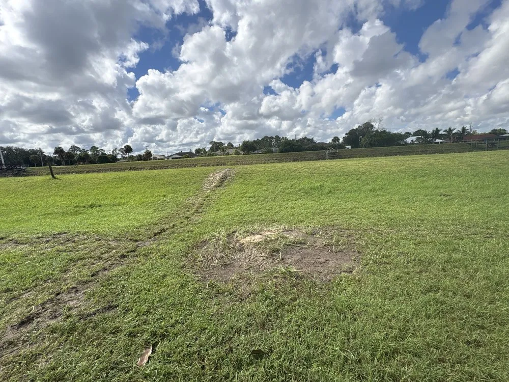 Local yard maintenance experts serving Port St. Lucie, FL - Local Sprinkler