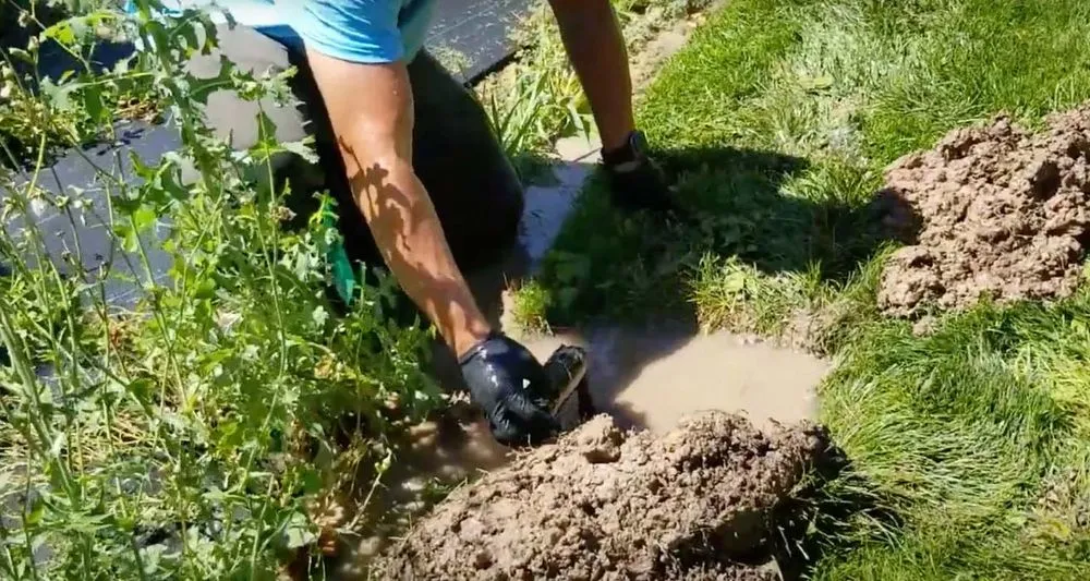 Local landscape design for outdoor upgrades across American Fork, UT - Local Sprinkler Pros