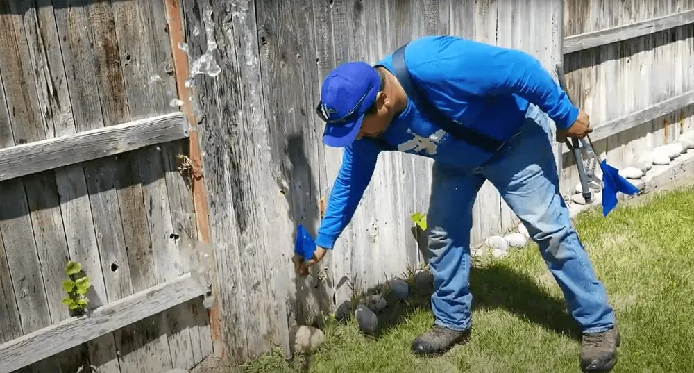 Professional lawn mowing service for homes across American Fork, UT - Local Sprinkler Pros