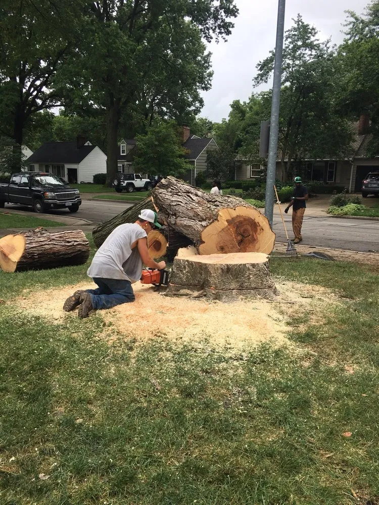 Expert landscape design in Grandview, MO by Local Tree & Landscape